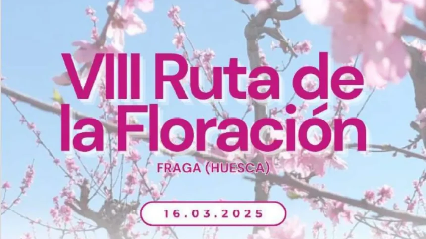 Campos de frutales floridos en Fraga durante la Ruta de la Floración