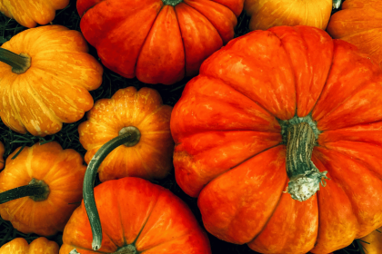 Tradición vaciar calabazas