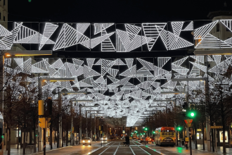 Puente de la constitución