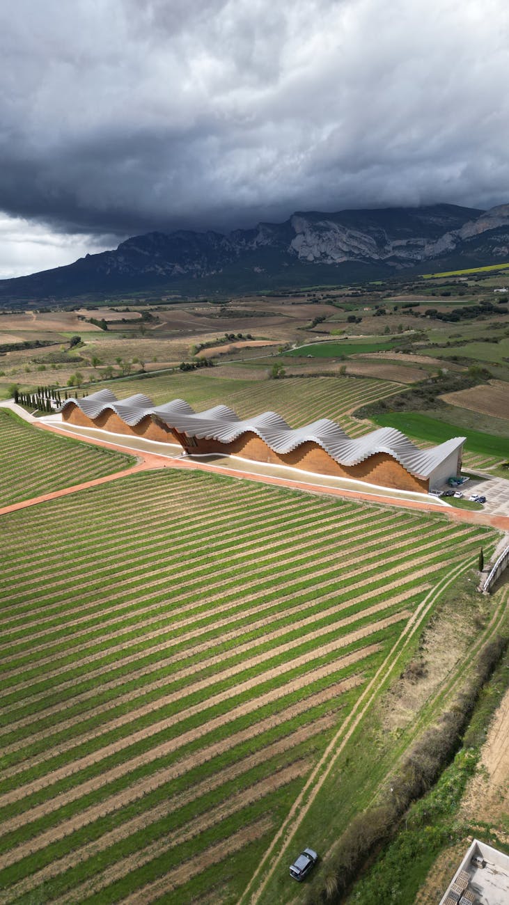 vino Cariñena aceite Bajo Aragón primavera: Cariñena y Bajo Aragón en primavera: vino, aceite y gastronomía de temporada